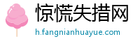 惊慌失措网